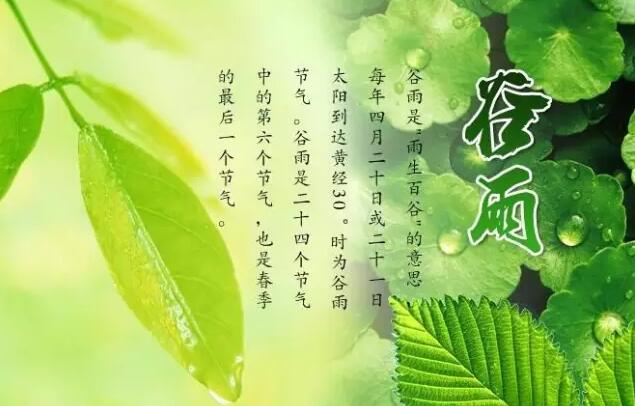 【24節(jié)氣養(yǎng)生篇】谷雨：祛濕熱防春火是關鍵