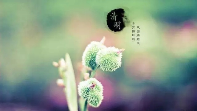 【二十四節(jié)氣養(yǎng)生篇】清明：勤鍛煉防上火